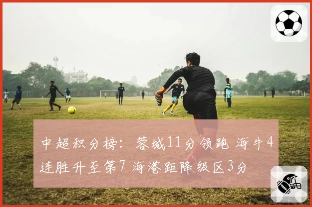 中超积分榜：蓉城11分领跑 海牛4连胜升至第7 海港距降级区3分